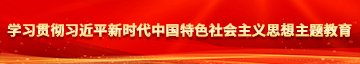 啊啊啊粗大插入舔学习贯彻习近平新时代中国特色社会主义思想主题教育