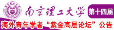 插进去婊子的穴视频南京理工大学第十四届海外青年学者紫金论坛诚邀海内外英才！